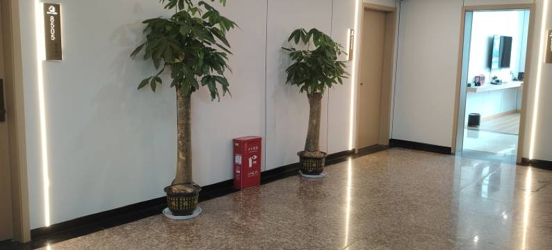 新华大酒店图片