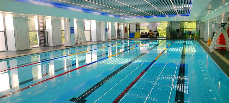 北京望京华彩智选假日酒店图片