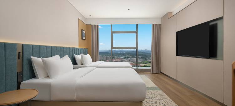 武汉光谷希尔顿花园酒店图片