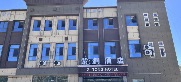 轮台紫桐酒店(轮台客运站新新路步行街店)图片