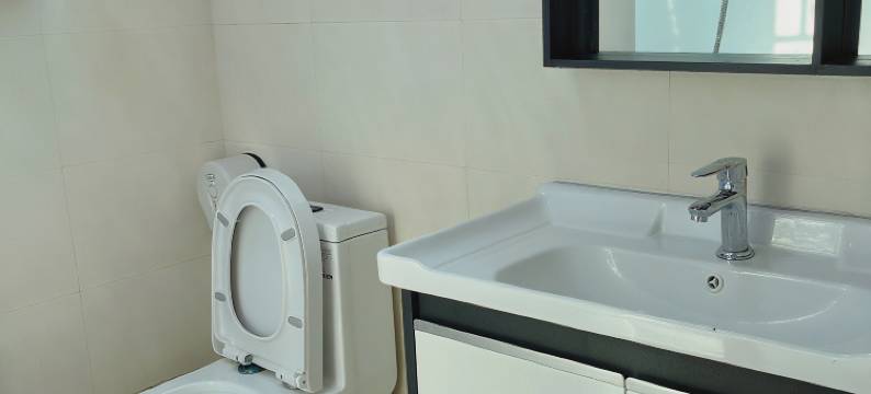 悦晖酒店(深圳国际机场店)图片