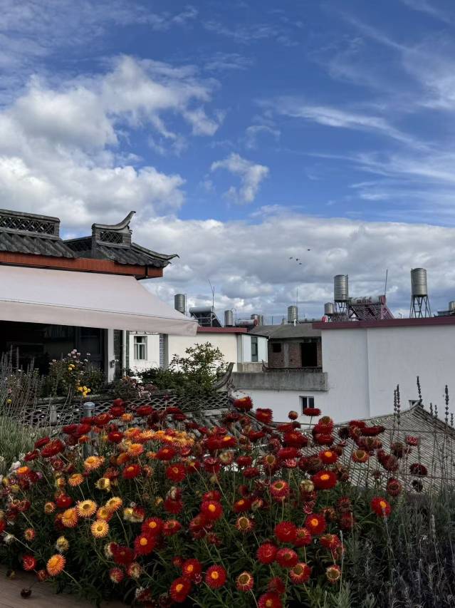大理洱海晨肆闲院•花园度假民宿(才村风景区店)图片