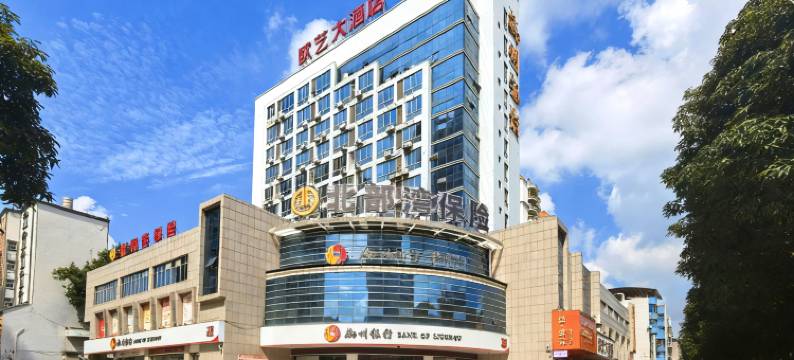 欧艺大酒店(右江民族医学院附属医院店)图片
