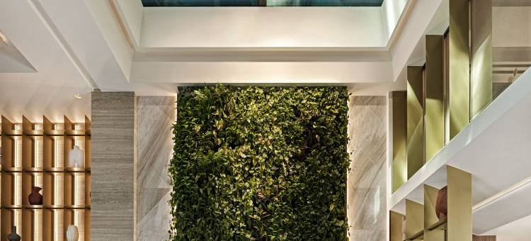 雅典选集(Anthology of Athens, The Leading Hotels of the World)图片