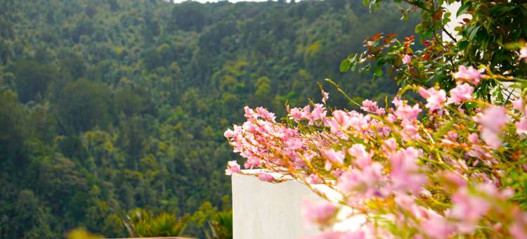 怀塔科里水疗度假酒店(Waitakere Resort & Spa)图片