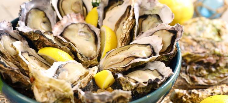 九十九里龟之井酒店(KAMENOI HOTEL KUJUKURI)图片