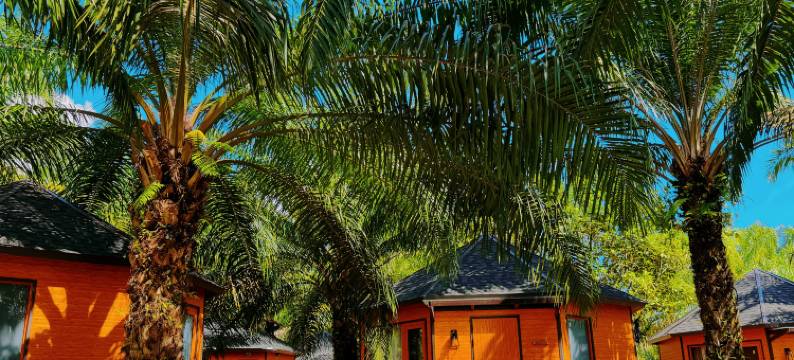 薄荷度假村(中文管家服务+免费酒店往返镇上/码头班车)(PUDINA RESORT)图片