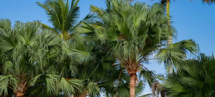 宜尚PLUS酒店(海口友谊阳光城国贸中心店)图片