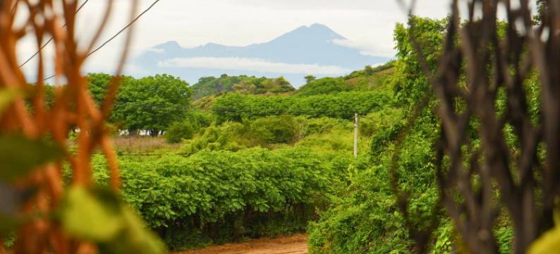 Matappa Guest House图片