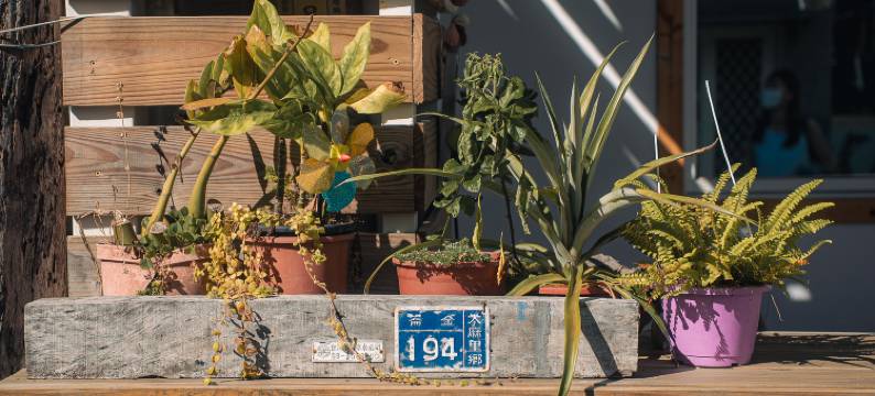 被风吹的人背包客民宿图片