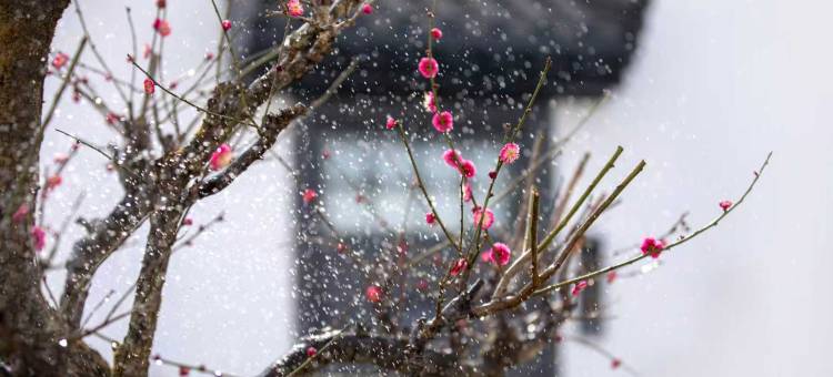 山海关58号民宿(秦皇岛山海关站店)图片