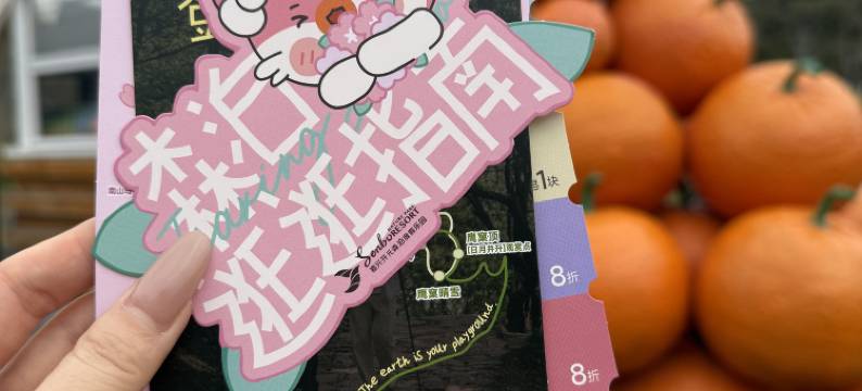 嘉兴开元森泊度假酒店图片