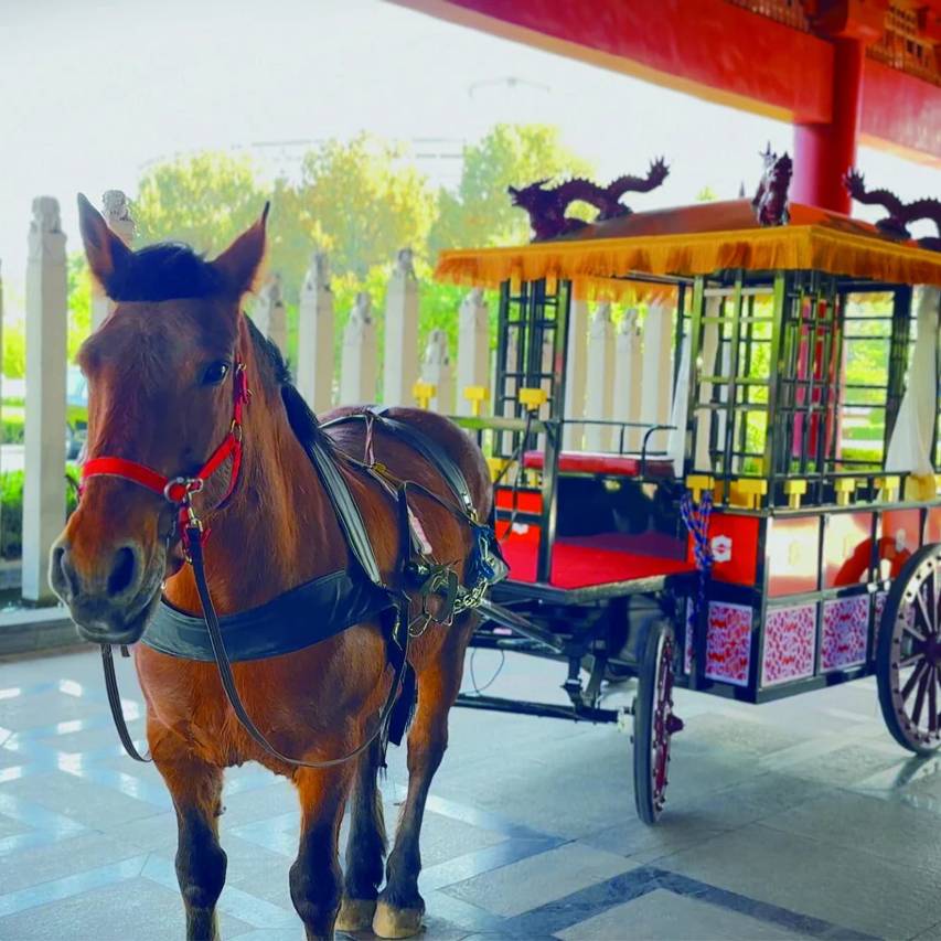 曲阜香格里拉大酒店(三孔景区店)图片