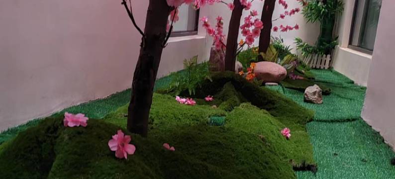 旺苍艾嘉商务酒店图片