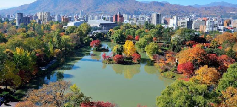 东横INN-北海道札幌薄野交叉点(Toyoko Inn Hokkaido Sapporo Susukino Junction)图片