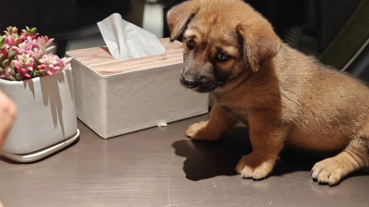 桐庐清境山庄·心动休闲农场图片