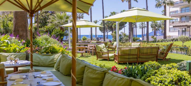 蒙德里安戛纳(Mondrian Cannes)图片