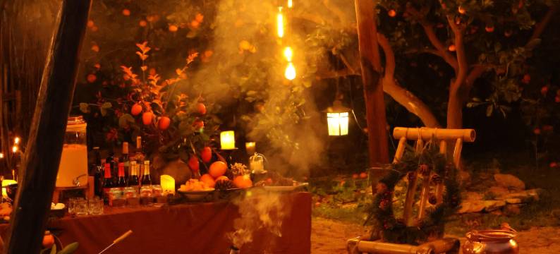 象山安可橘宿图片