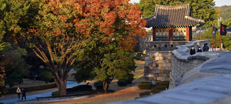水原大使诺富特酒店(Novotel Ambassador Suwon)图片