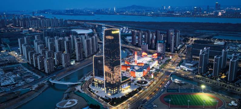 南京丰大国际大酒店图片