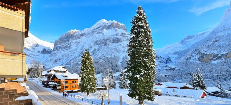 格林德尔瓦德霍夫酒店(Hotel Grindelwalderhof)图片