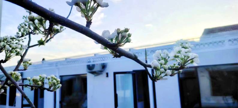 特克斯青屿木民宿(特克斯八卦城离街店)图片