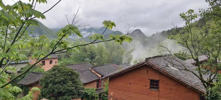 凡尘竹院民宿图片