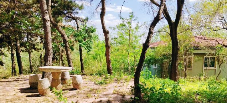 沈阳棋盘山小林间轻奢民宿图片