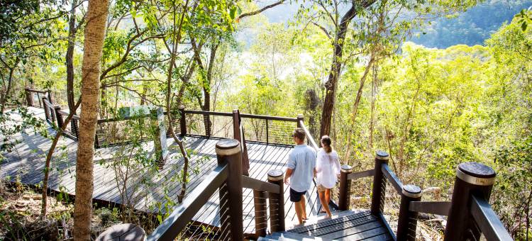 夸丽亚(Qualia)图片