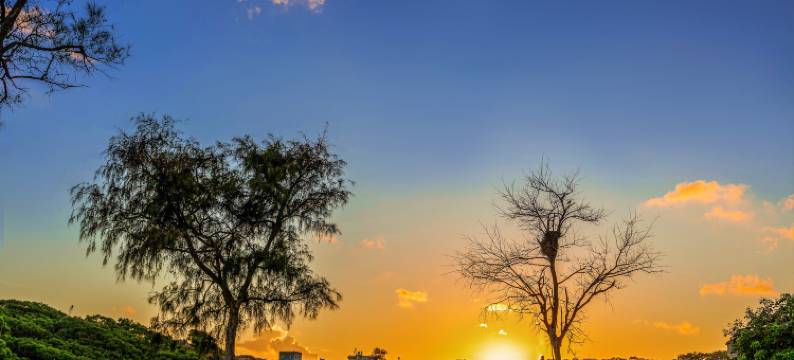 枕山聆海·Hillowav民宿(坛南湾沙滩店)图片