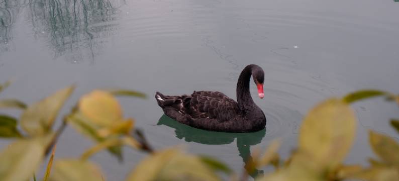 彭州断桥渔歌民宿图片
