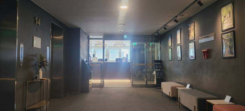 新村中央布朗套房酒店(Brown Suites Hotel sinchon central)图片