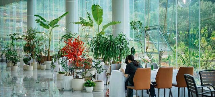 长臂猿度假酒店图片