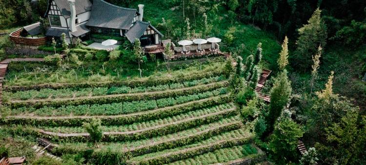 雅安十里芳菲·野玫瑰温泉村落图片