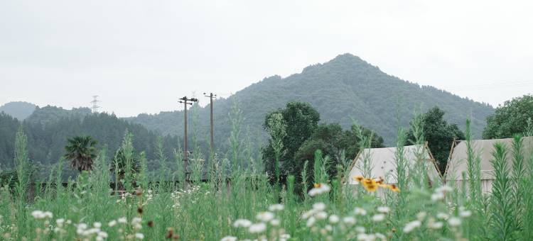 七千平民宿图片