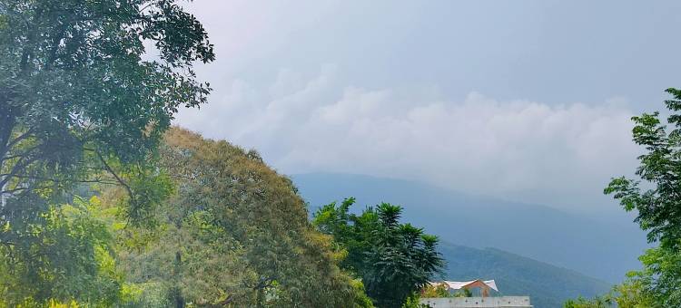 上林归来丘山里山间艺趣原宿图片