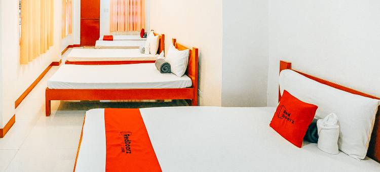RedDoorz @ S & L Apartelle Daraga Albay图片