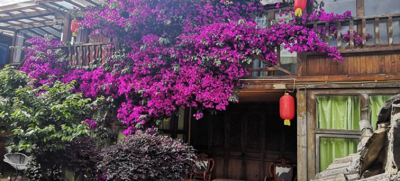 丽江优觅客栈(束河古镇店)图片