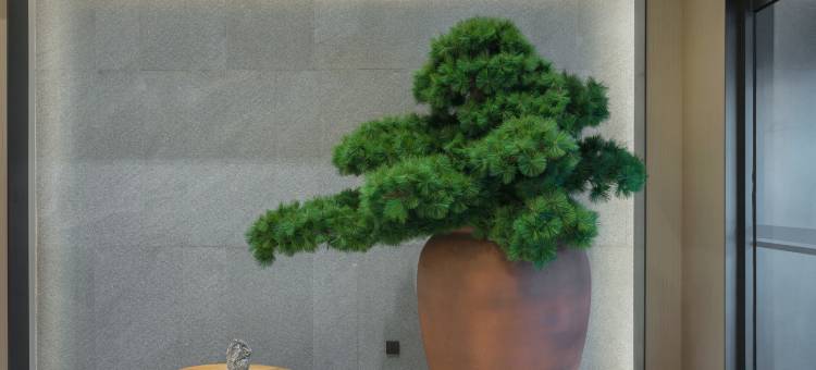 全季酒店(安阳东站文明大道店)图片