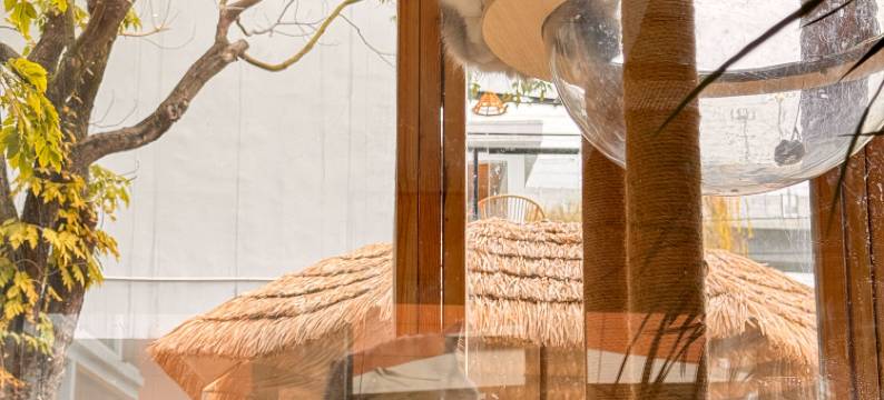 静澜枫居｜既山野·花园汤池度假庭院(毕节七星关区德溪公园店)图片