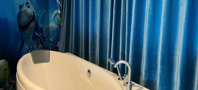 耒阳皇朝时尚主题酒店图片