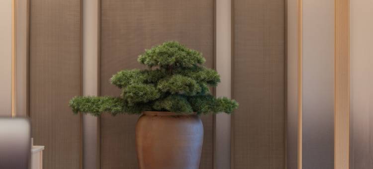 全季酒店(天津之眼古文化街店)图片