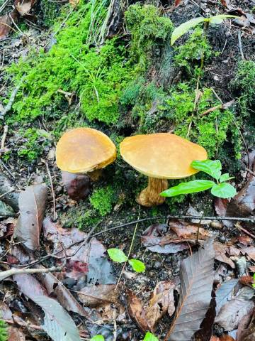 栖迟外酒店图片