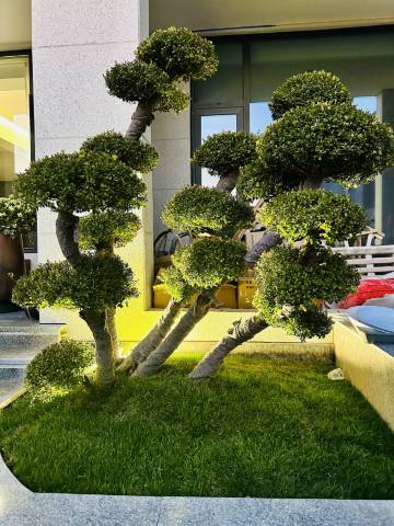 逸境・榴宿 | Luxury Nook・雅致山景悠享美宿(仙都景区店)图片