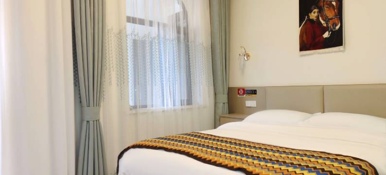 宁韵小筑民宿(伊宁机场六星街店)图片