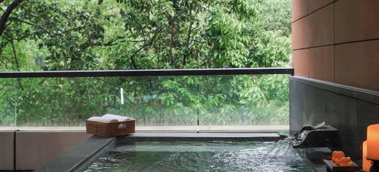 杭州千禧度假酒店图片