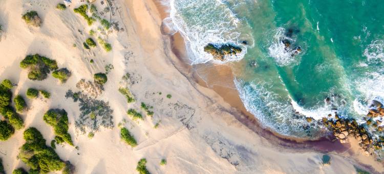 杰特翼丛林隐舍·奢华生态保护区(Jetwing Jungle Lodge, A Luxury Reserve)图片