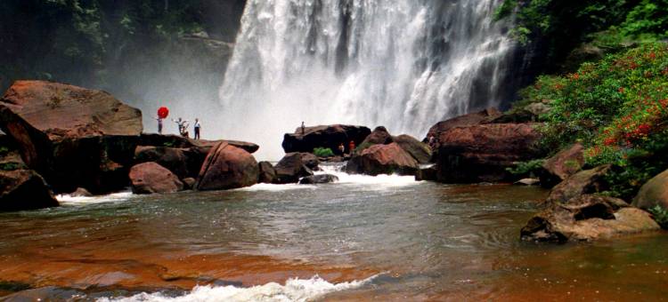 赤水芸朵酒店(人和广场贵福金街店)图片