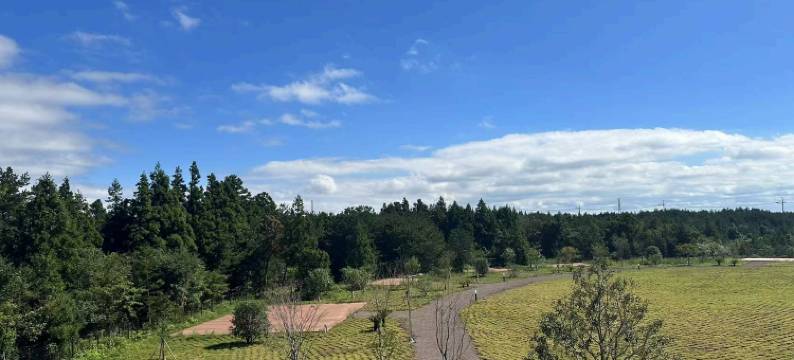 济州麒麟别墅度假村(Kylin Villa Resort Jeju)图片