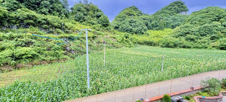 赫章梦归小篱民宿图片